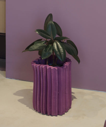 Rhubarb Planter | Grape Matte